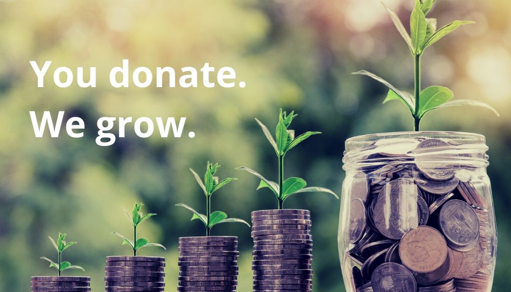 Donate VisionServe Alliance