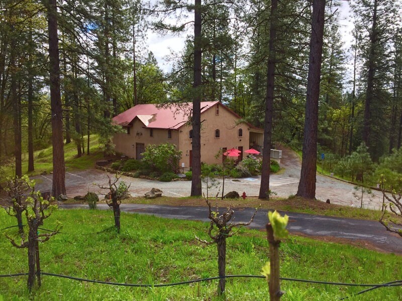 Narrow Gate Vineyards Visit El Dorado