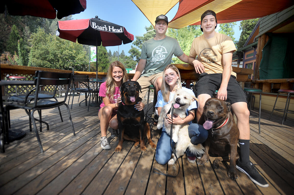 4 Best DogFriendly Restaurants and Cafes in El Dorado County Visit