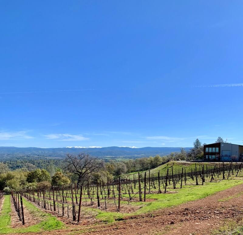 Kehret Vineyards Visit El Dorado