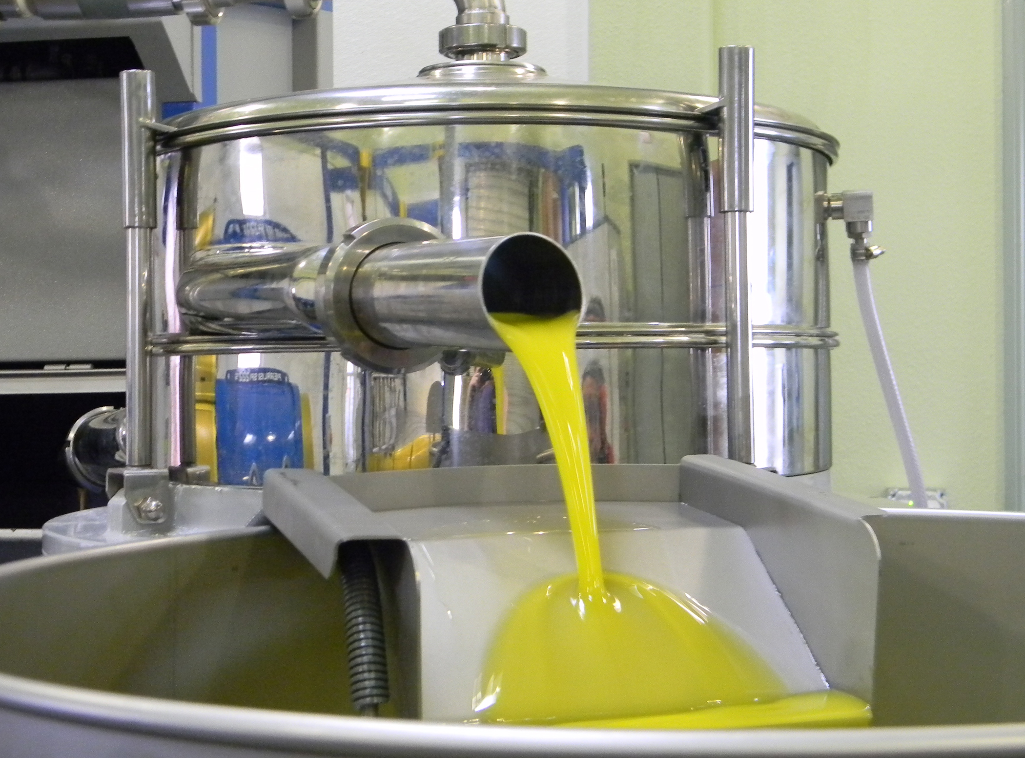 See olives turn to oil at Il Fiorello Olive Oil Company Visit