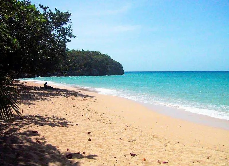 Reggae Beach Discover Entrance Fees, Opening Hours, and Authentic