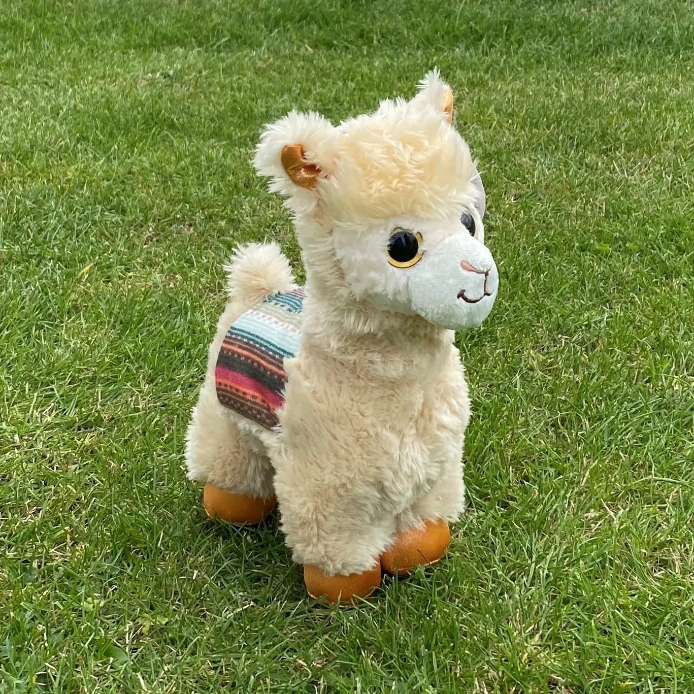 Cuddly Alpacas JandJ Alpacas