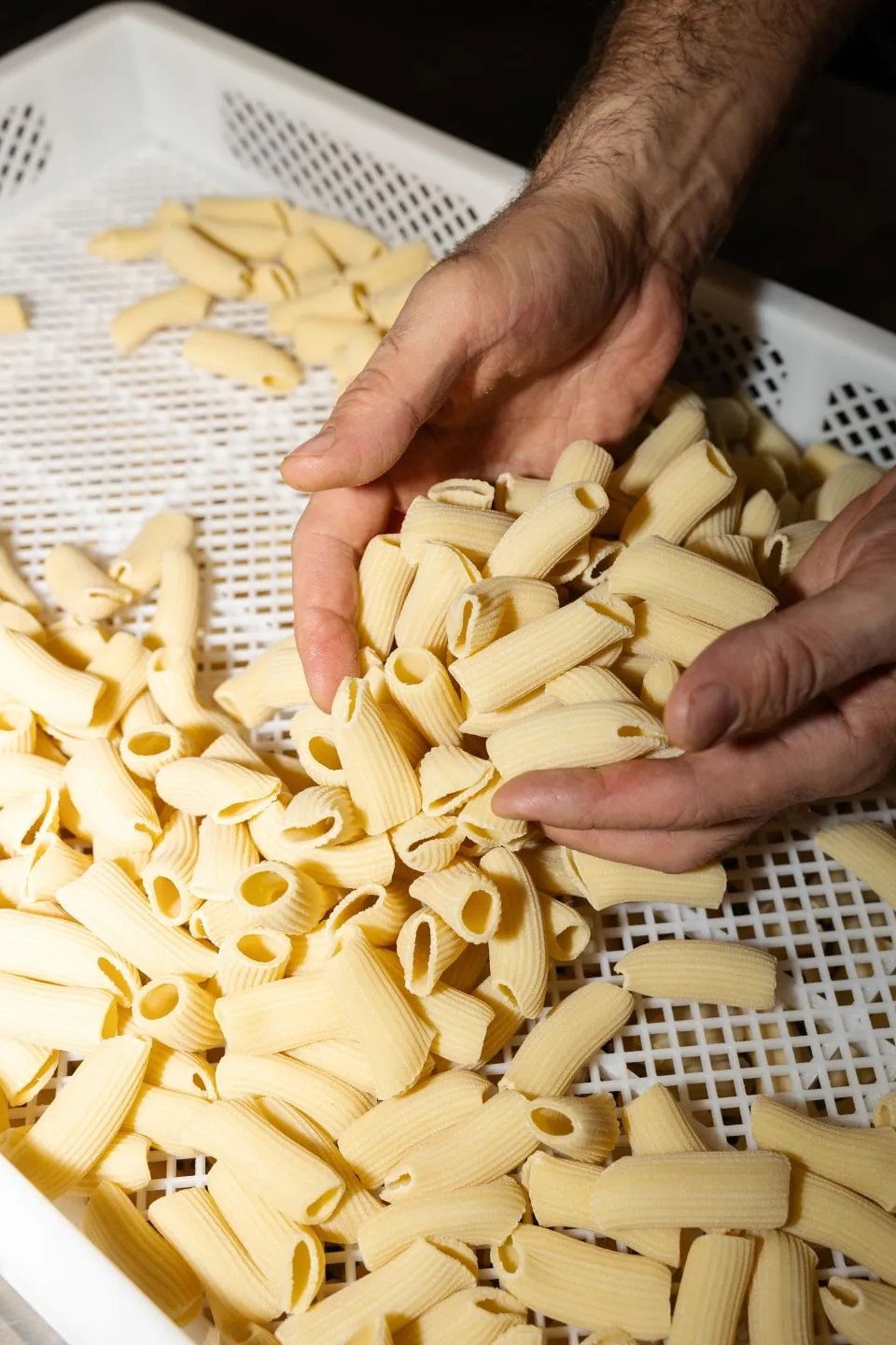 Rigatoni's, a new pasta joint in Altrincham, is opening its doors this