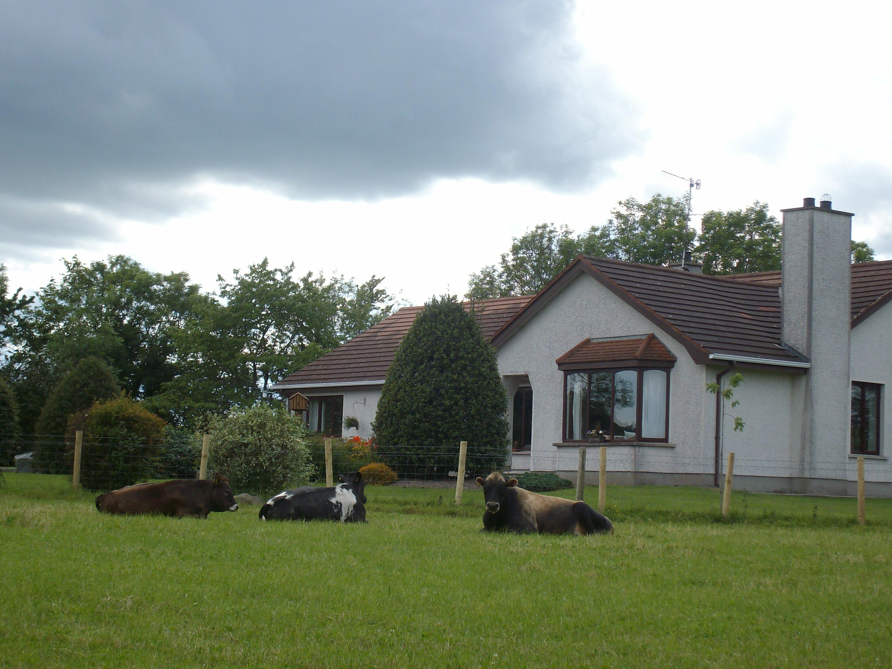 GreenacresGuestHouse Visit Armagh