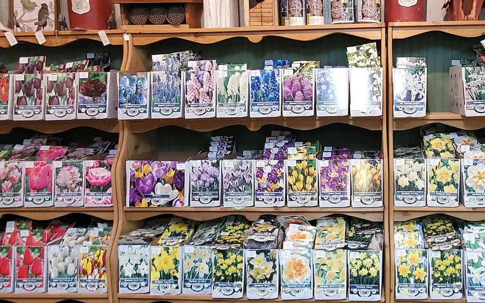 Colesville Nursery Visit Ashland VA