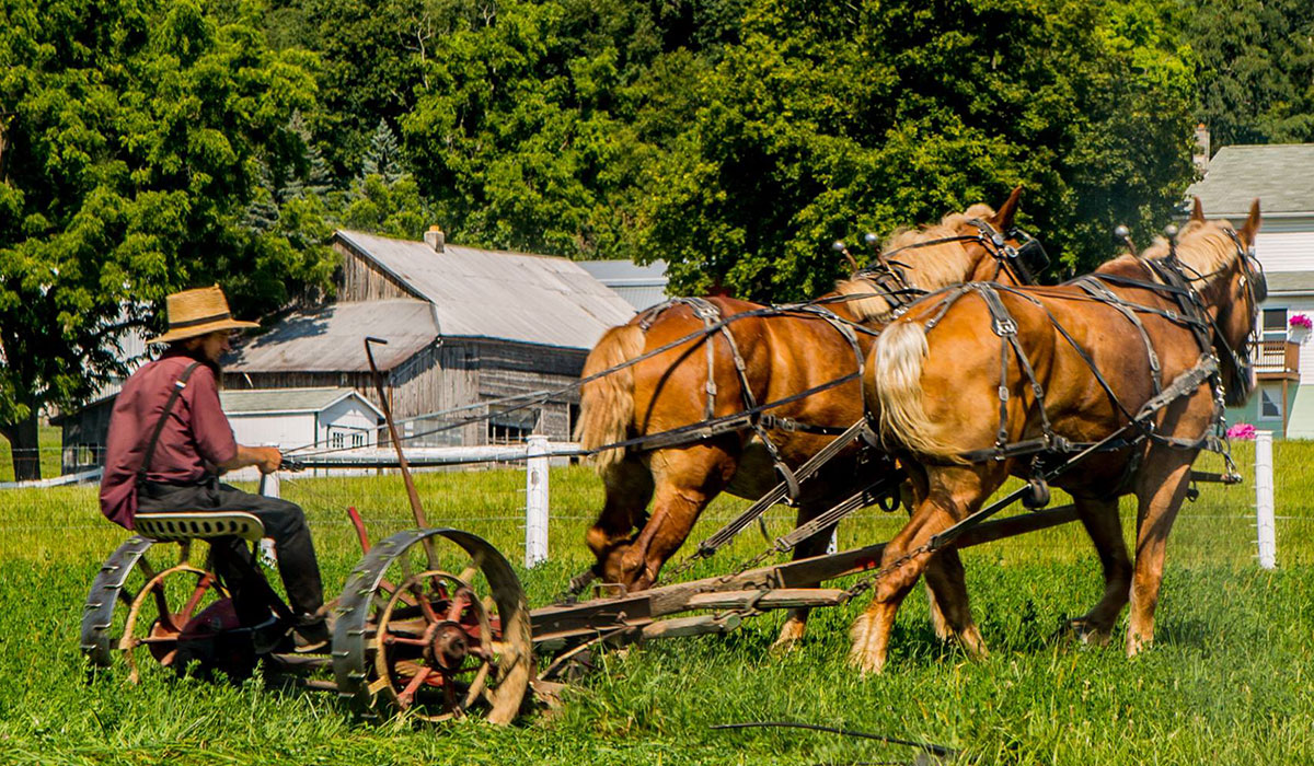 to Visit Big Valley Visit Big Valley