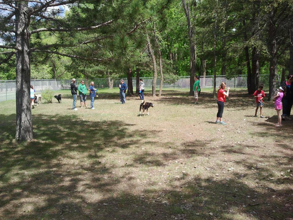 Buster Park A Playground for Dogs Visit Brainerd