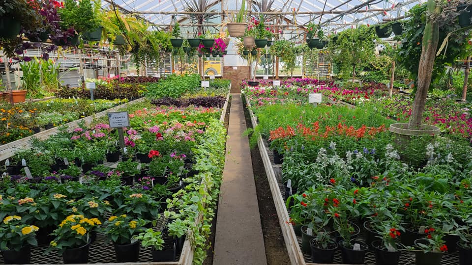 Erickson’s Greenhouse Visit Brainerd