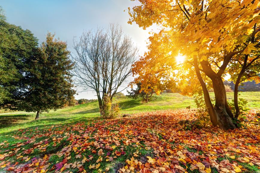 It's Time to Fall for Brookings Visit Brookings Community