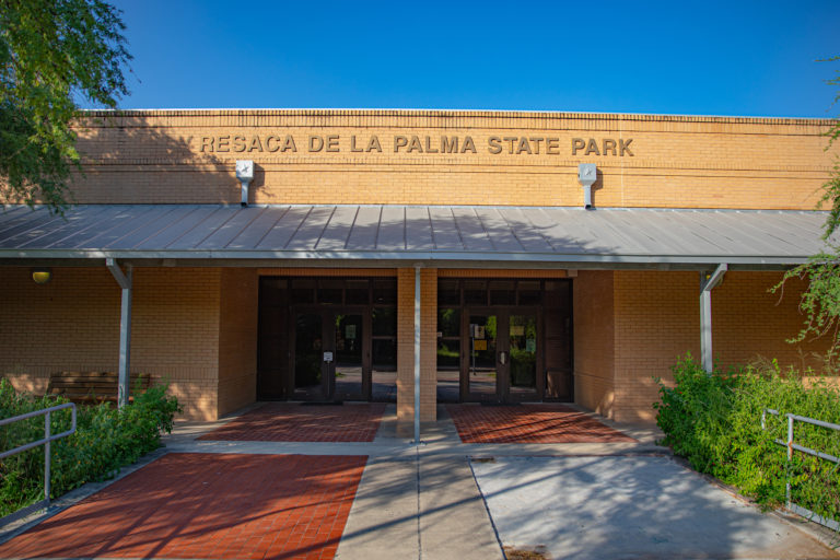 Resaca de la Palma State Park & World Birding Center Visit