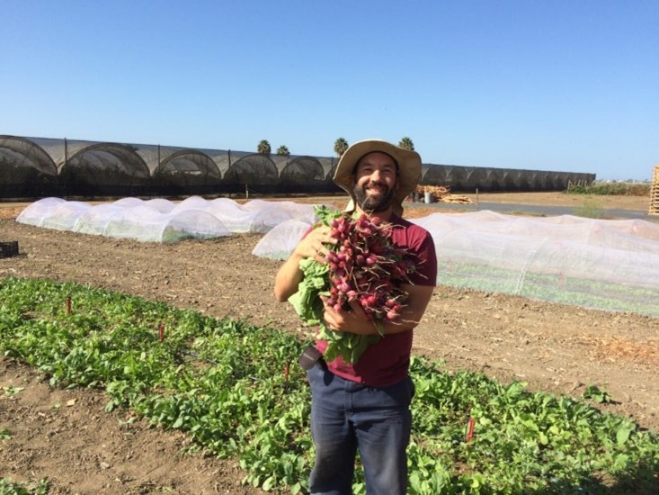 Camarillo Grown Meet Mike Roberts from Baby Root Farm and McGrath