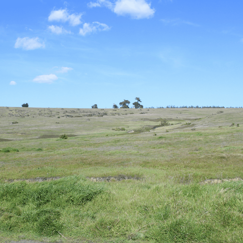 Marine Terrace Trail Visit Cambria CA