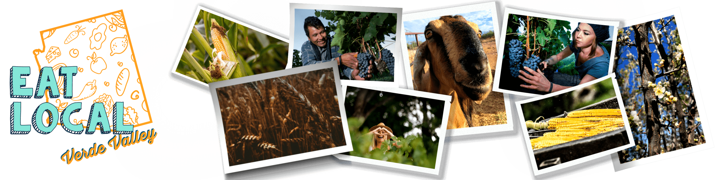 Verde Grown Visit Camp Verde