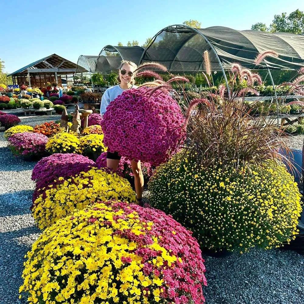 Fall in Cape Girardeau, Missouri