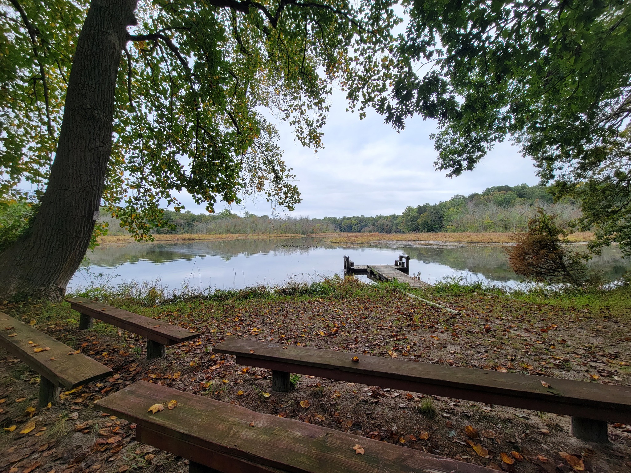 Camp Mardela Caroline County Office of Tourism