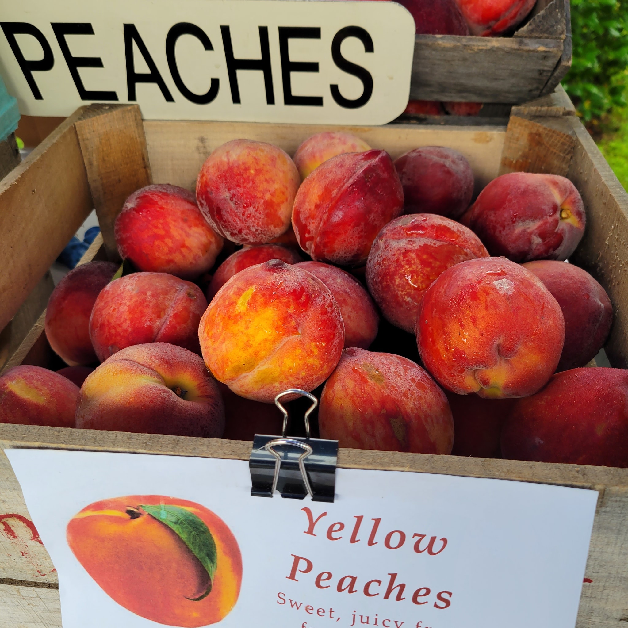 Blades Orchard Caroline County Office of Tourism