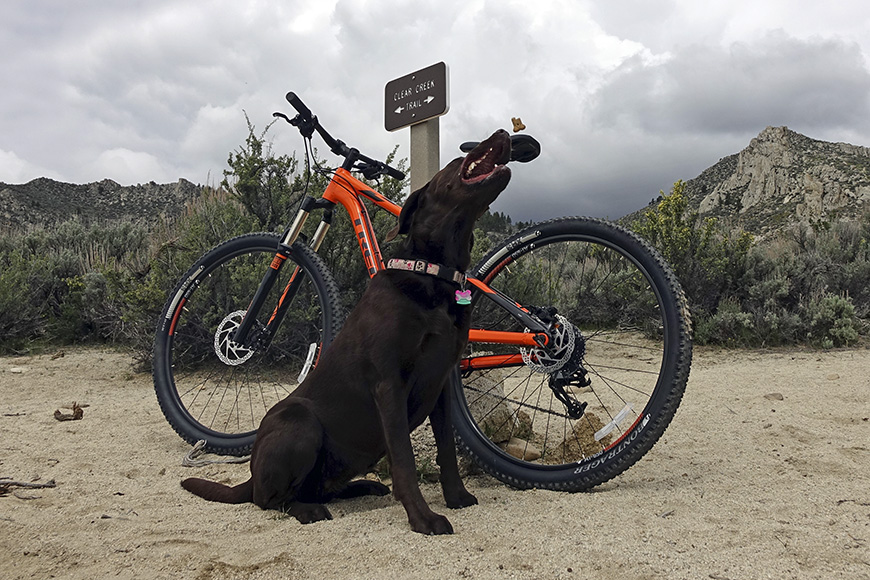 Where to Stay with Your Dog Carson Valley, Nevada Genoa