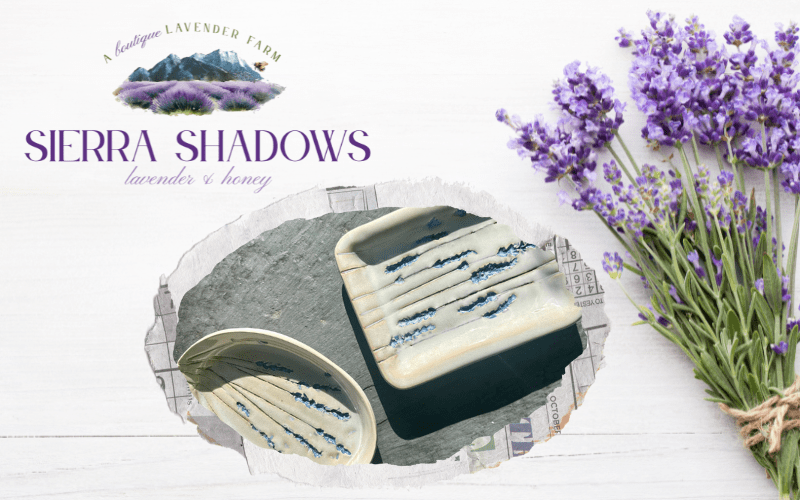 Pottery Class at Sierra Shadows Farm Carson Valley, Nevada Genoa