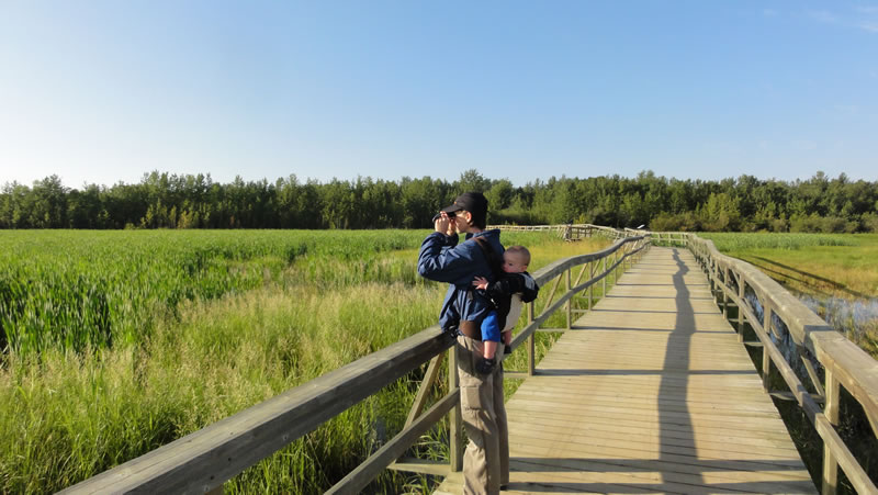Aspen Beach Campground and Provincial Park Visit Central Alberta