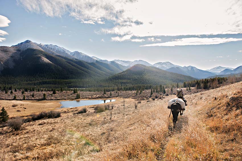 The Lodge at Panther River Visit Central Alberta