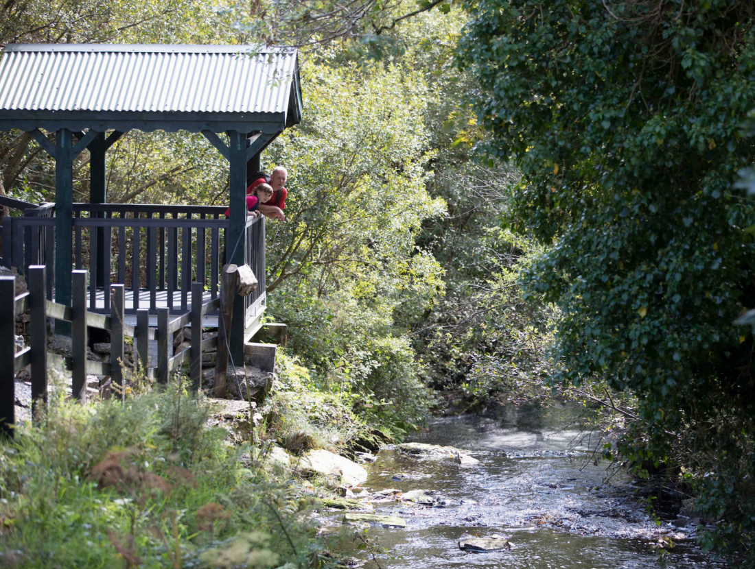 Lissycasey County Clare, Ireland