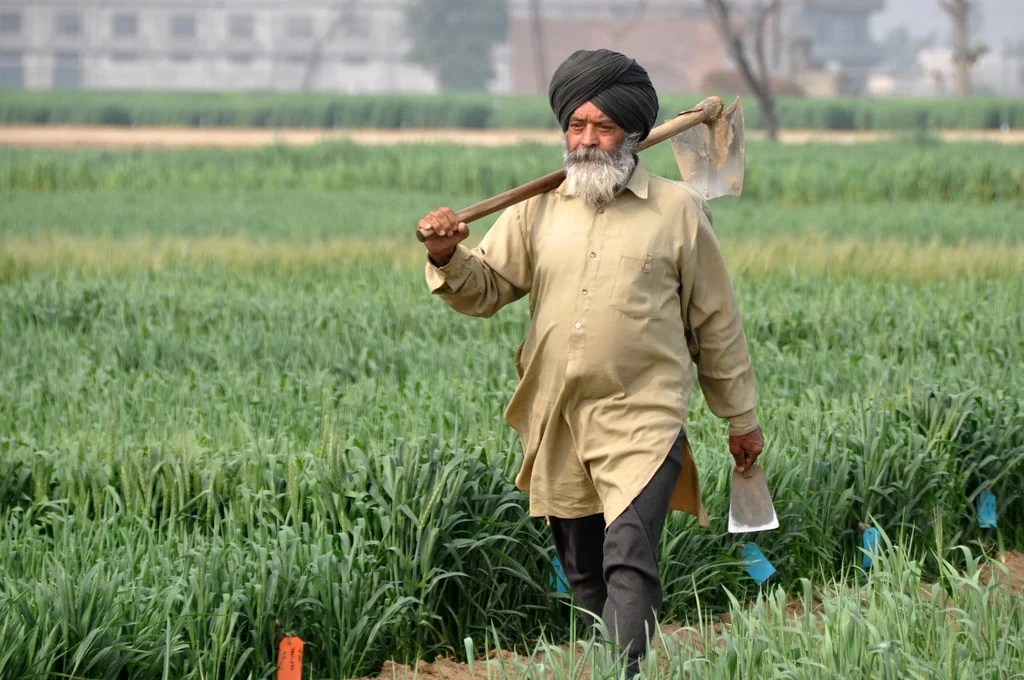 Itmenaan Lodges Punjabiyat Farming in Rural Punjab, India Visit