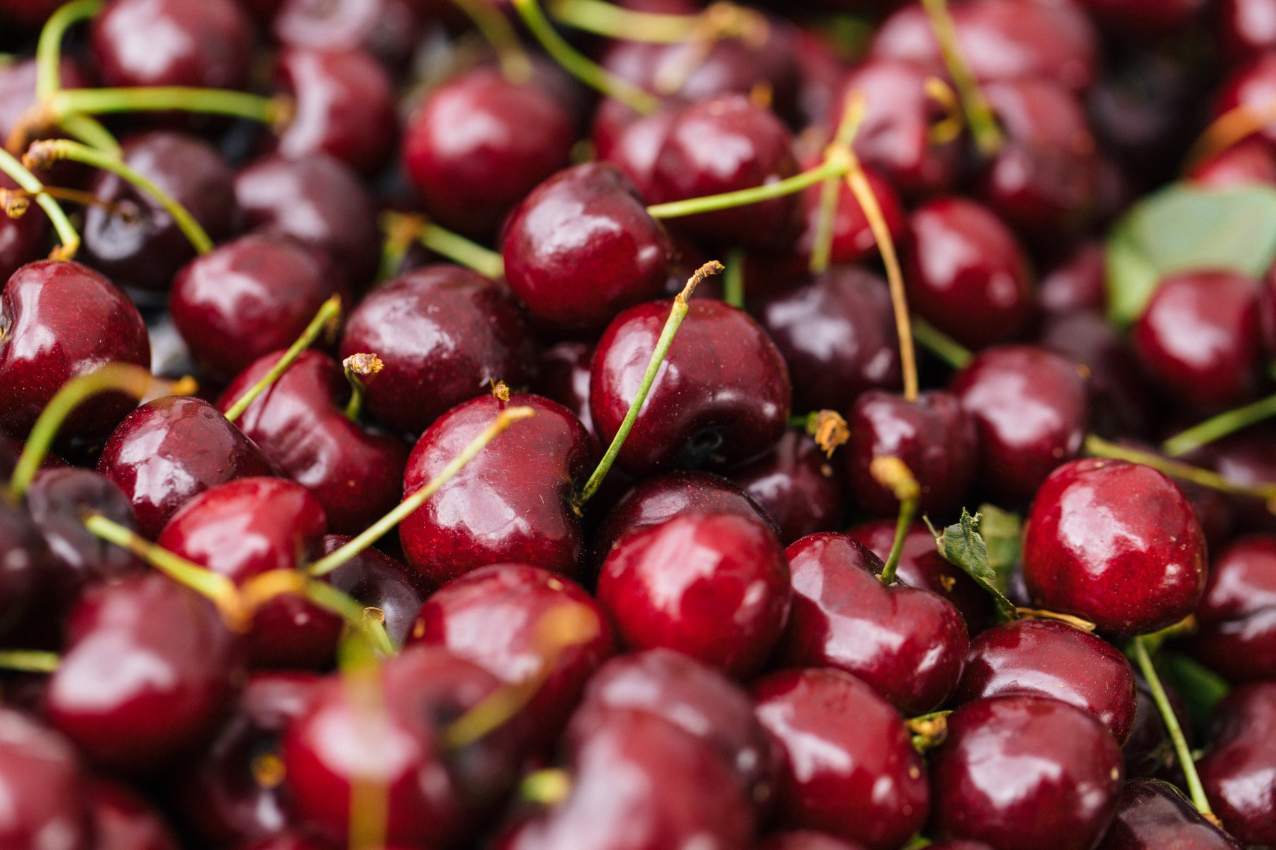 Your Guide to the Poirier Street Farmers Market 2021 Tourism Coquitlam