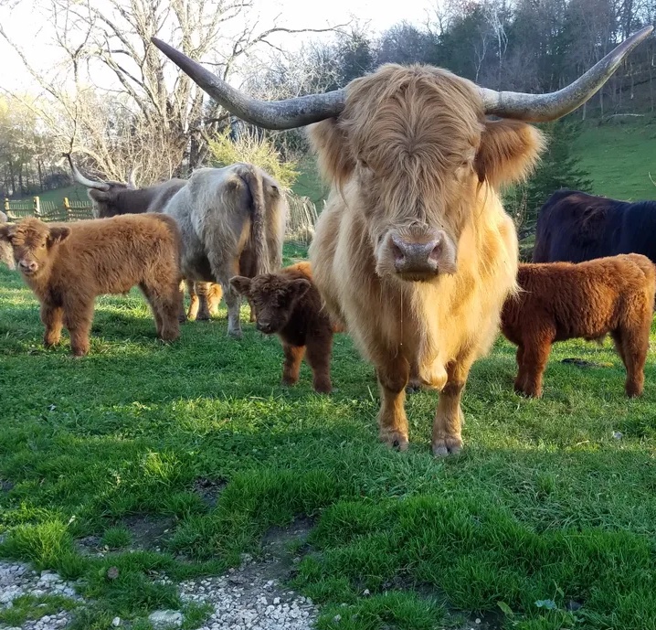 Decorah Farmers Market Visit Decorah