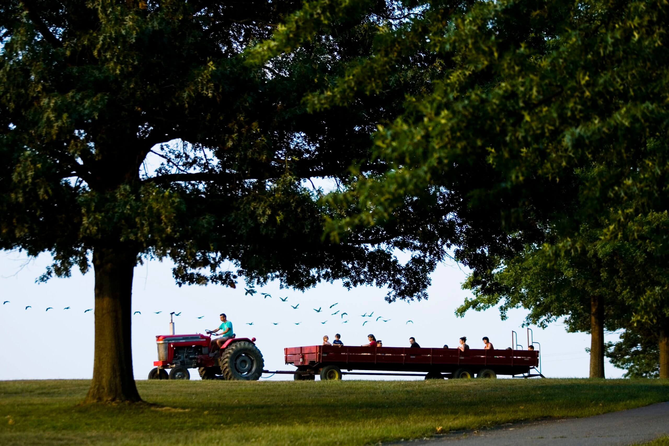 Linvilla Orchards Visit Delco PA
