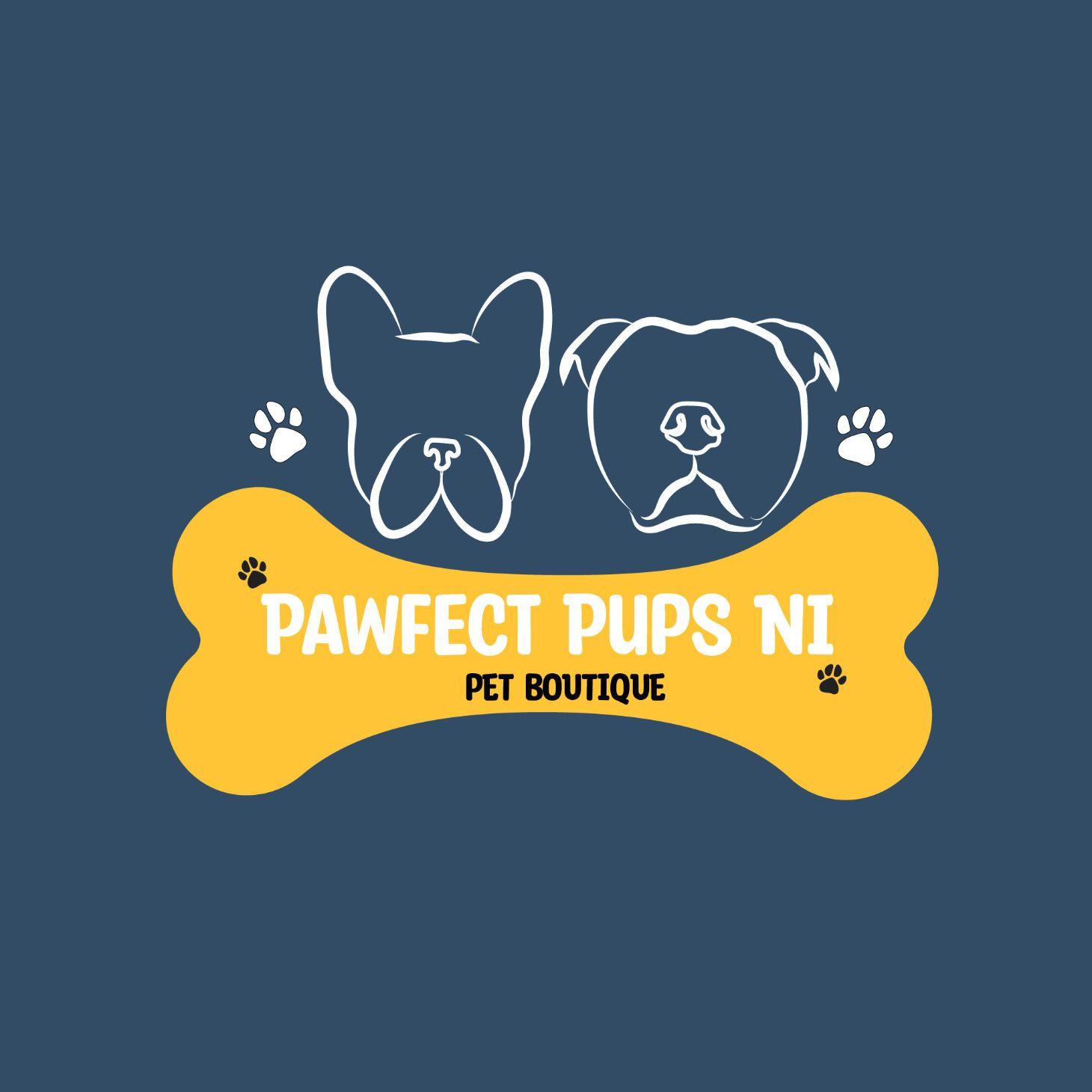 Perfect paws NI Visit Donaghadee