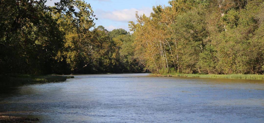 River Water and wetlands Kent Downs River synonyms, river