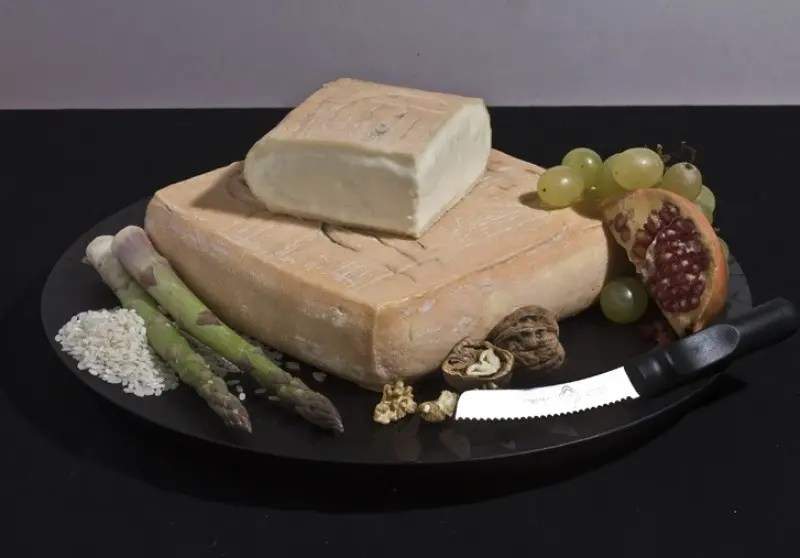 Taleggio Cheese Visit Europe