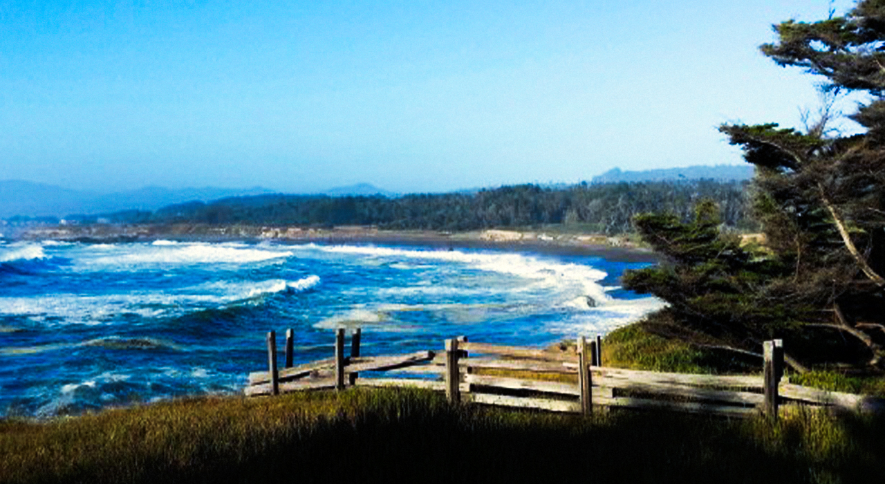 MacKerricher State Park Fort Bragg
