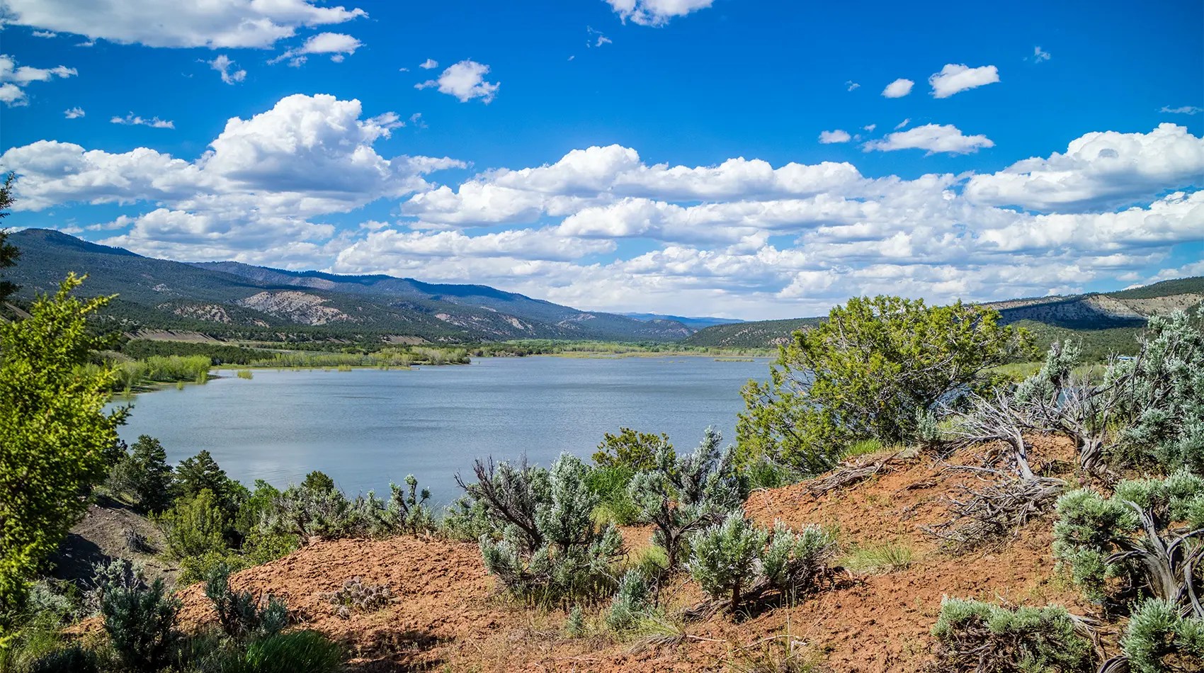 10 Best Hiking Trails in Cortez