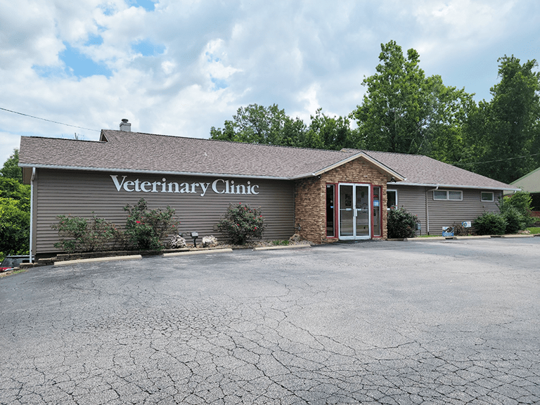 Daniel Randall Veterinary Clinic Experience Godfrey Uncover Events, Attractions, and