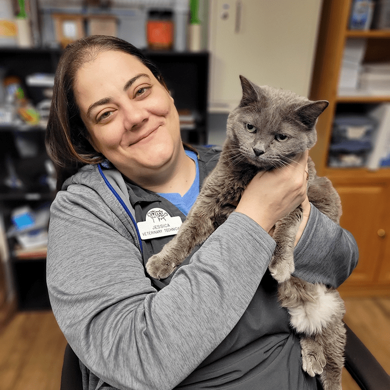 Daniel Randall Veterinary Clinic Experience Godfrey Uncover Events, Attractions, and