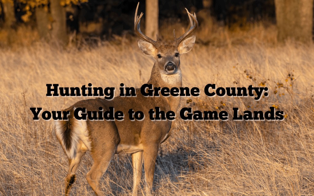 Hunting in Greene County Your Guide to the Game Lands Visit Greene