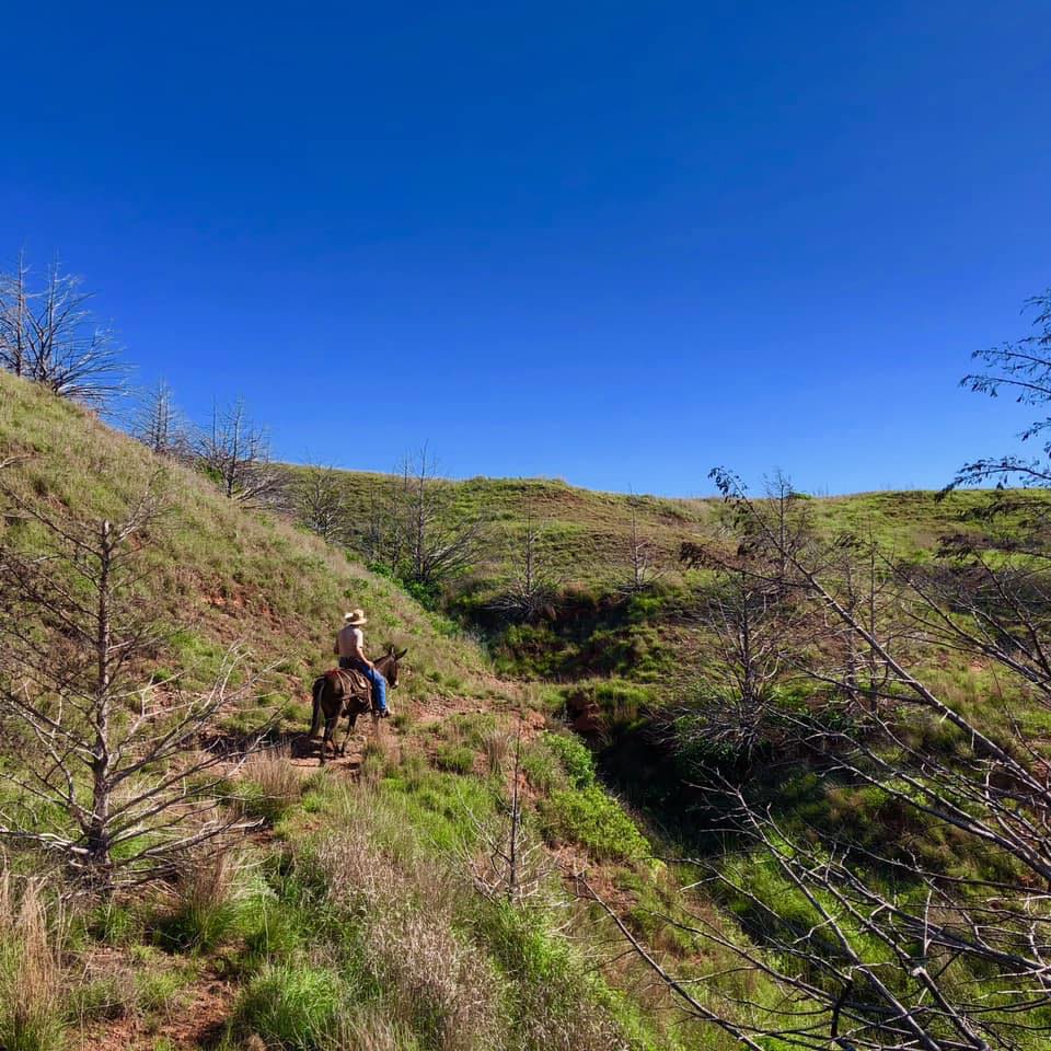 Gypsum Hills Trail Rides Visit the Gyp Hills