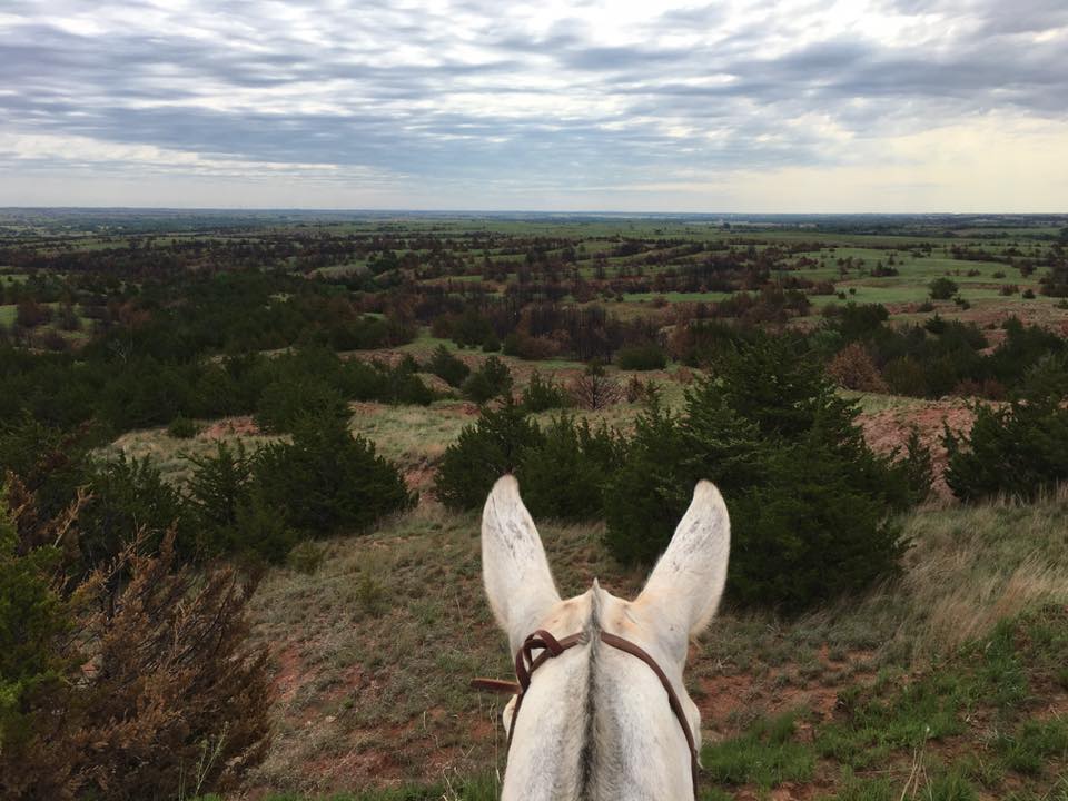 Gypsum Hills Trail Rides Visit the Gyp Hills
