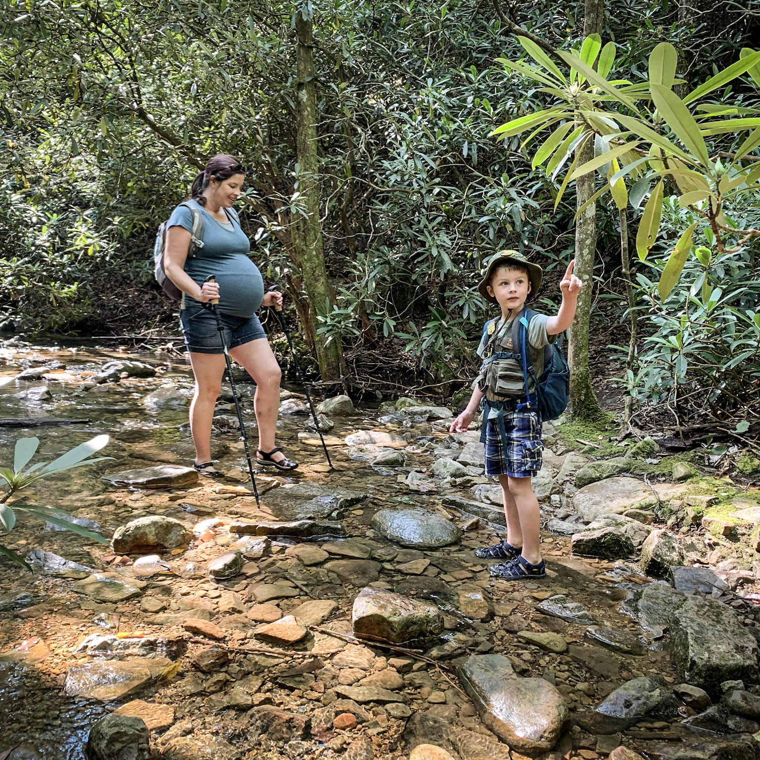Hidden Rocks Harrisonburg(06)