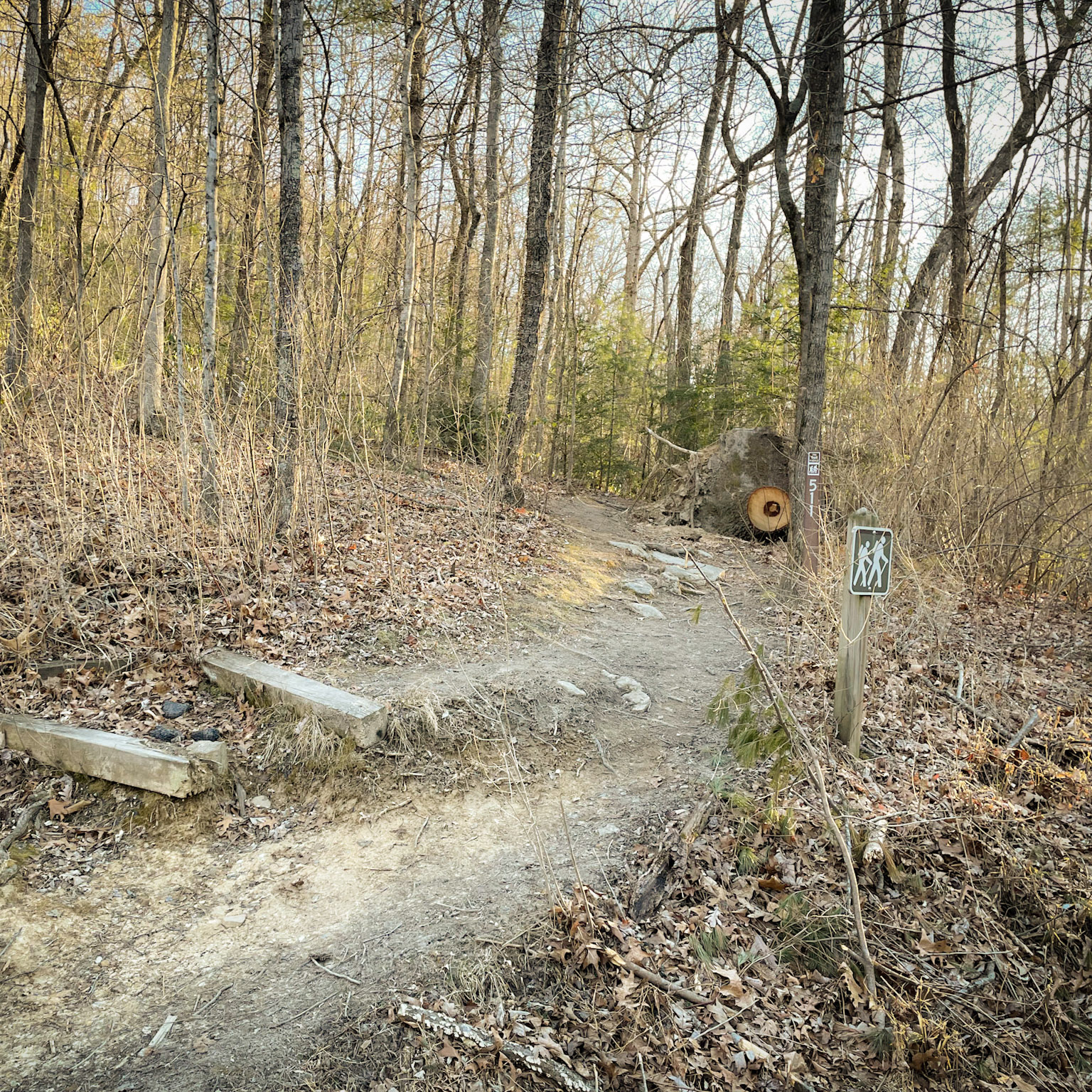 Hidden Rocks Harrisonburg