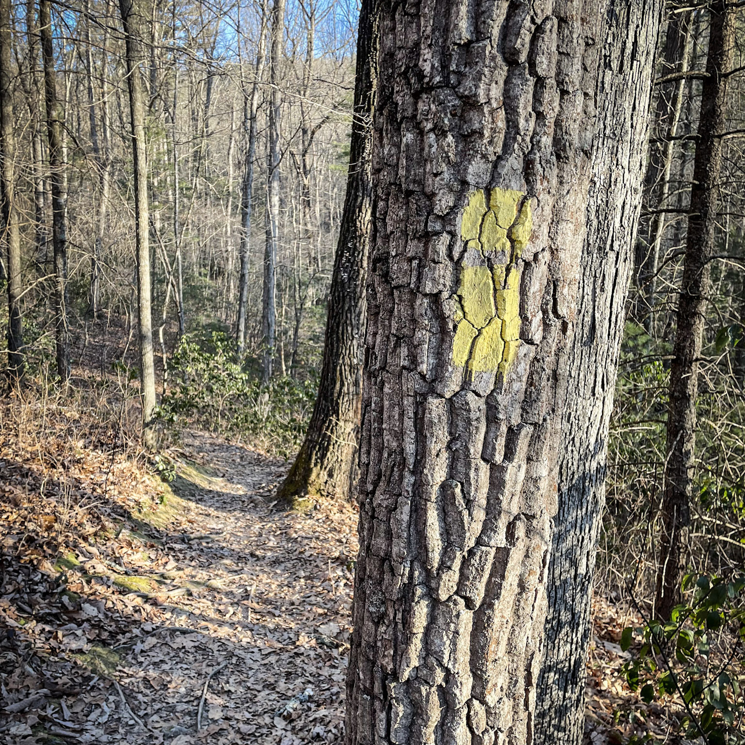 Hidden Rocks Harrisonburg(06)