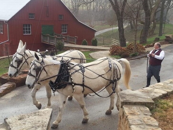 Hermann Farm post Hermann Missouri