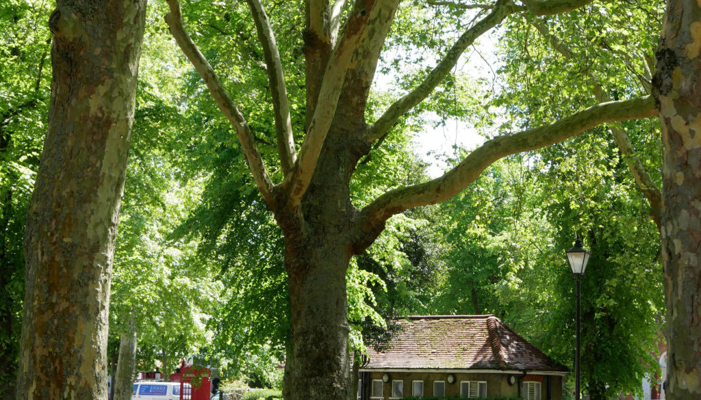 Pond Square Visit Highgate