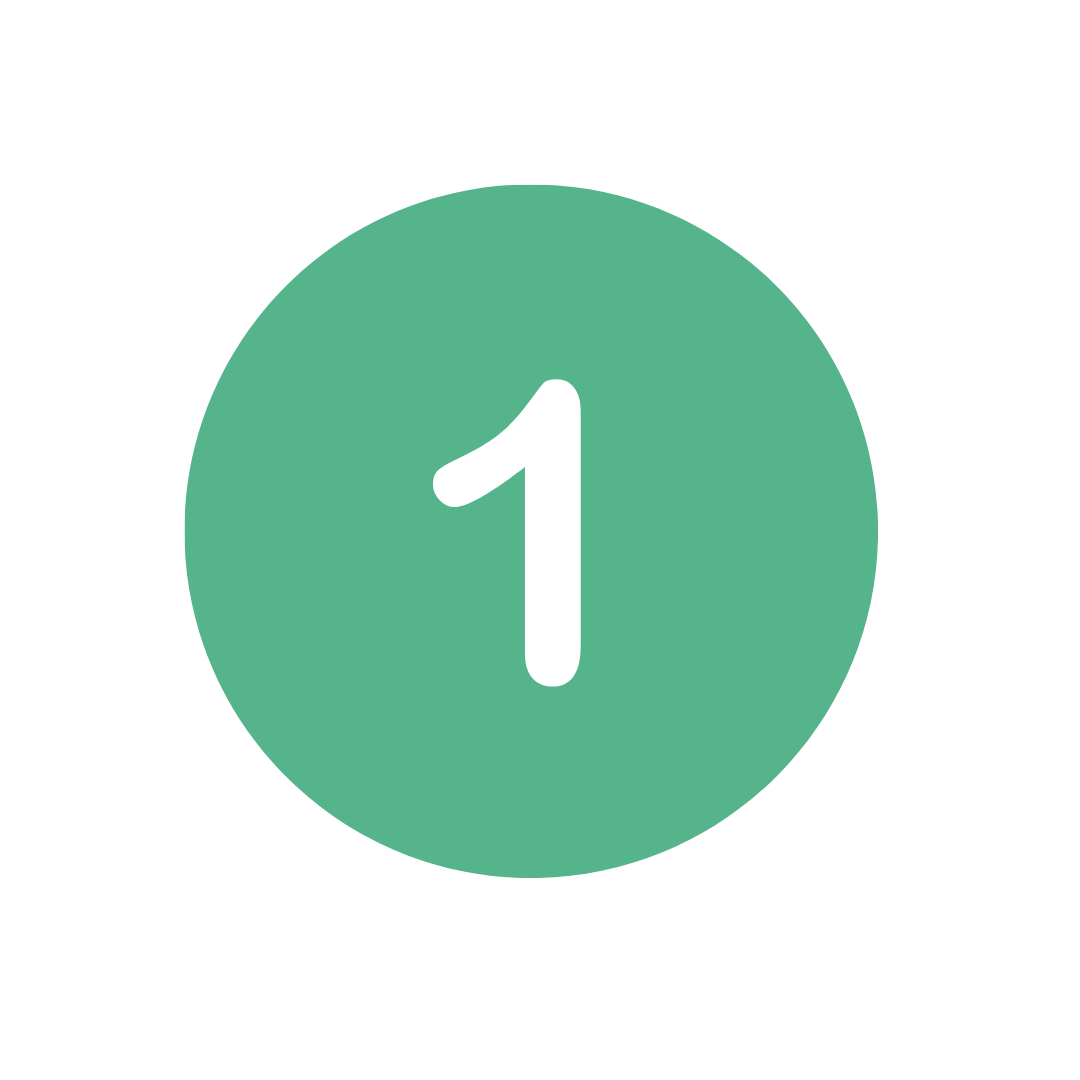 Pro Tips for a Hillsborough Day Trip Visit Hillsborough, NC