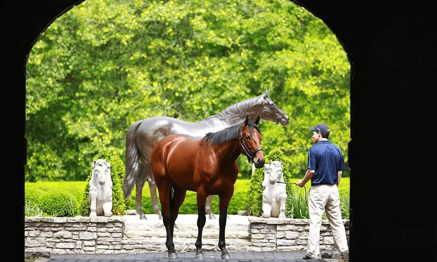 VISIT HORSE COUNTRY Press