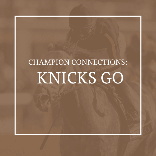 VISIT HORSE COUNTRY Horse Country Champion Connections