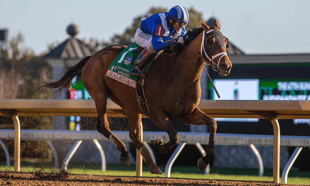 VISIT HORSE COUNTRY Keeneland Fall Stars Stakes Recap