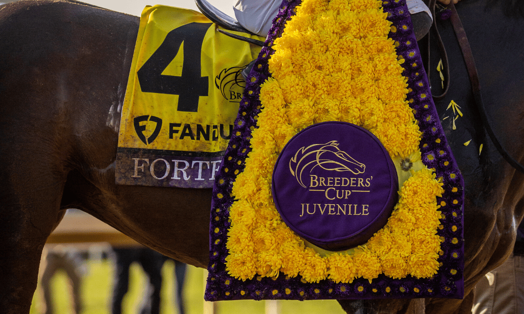 VISIT HORSE COUNTRY Breeders’ Cup 2022 Recap